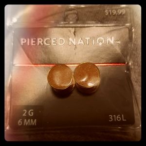 2g plugs